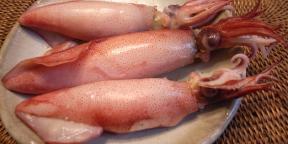 Come cucinare calamari che la carne era tenera