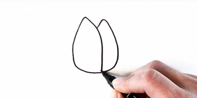 Come disegnare un tulipano: delinea i petali