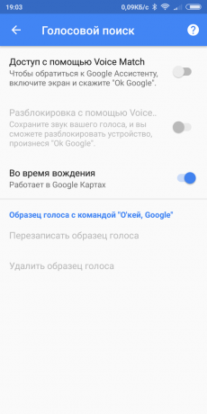 Google Maps. ricerca vocale