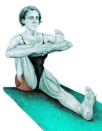 Anatomia di allungamento: postura mezzo seduto dove