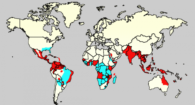 Area di distribuzione dei vettori del virus Zika