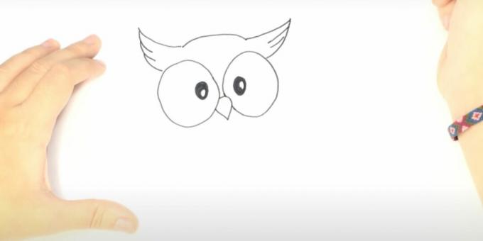Come si disegna un gufo: disegna i ciuffi auricolari