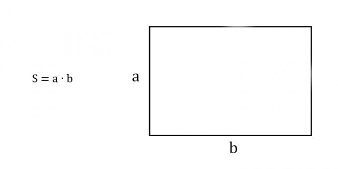 Come trovare l'area di un rettangolo conoscendo due lati adiacenti