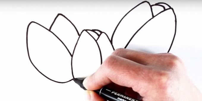 Come disegnare un tulipano: aggiungi il petalo sinistro