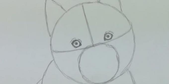 Disegnare l'occhio del cane