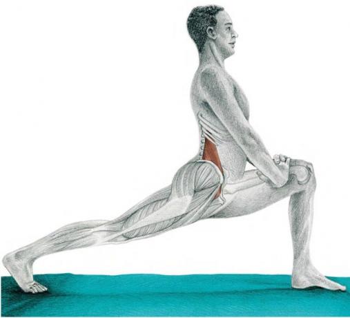 anatomia di stretching