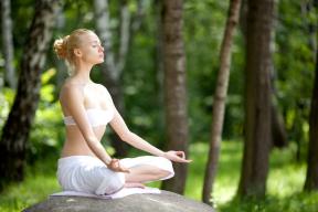 Guide sulle principali direzioni di yoga