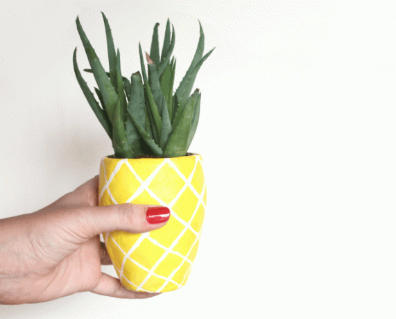 Fiori in un ananas