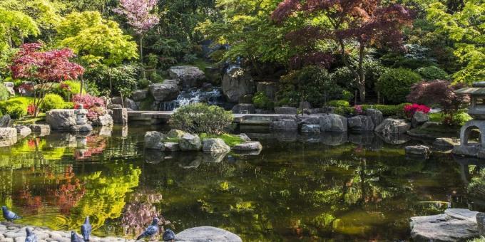 Cosa vedere a Londra: giapponese Kyoto Garden in Holland Park
