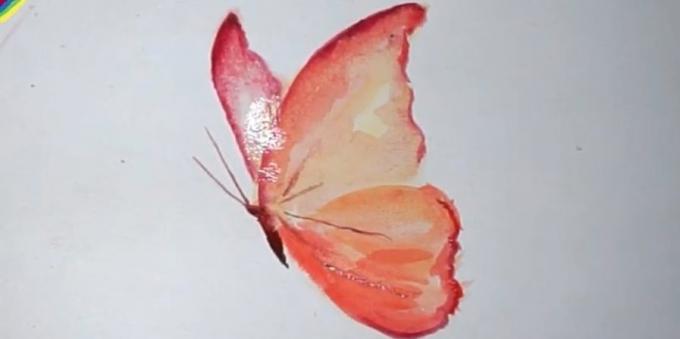 Come disegnare un realistico colori farfalla
