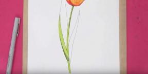 15 modi per disegnare bellissimi tulipani