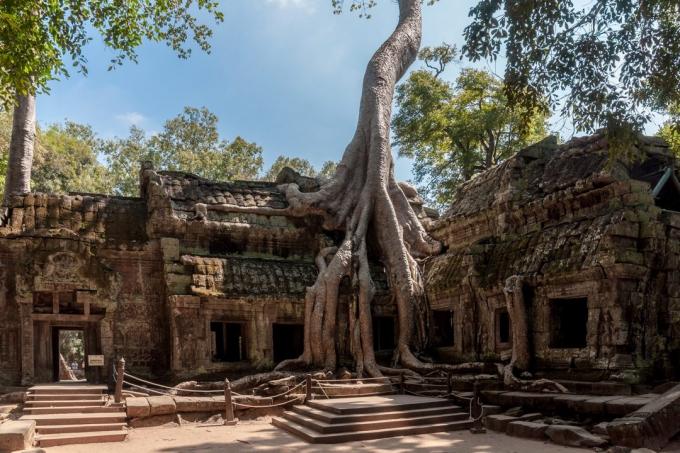 Siem Reap, Cambogia