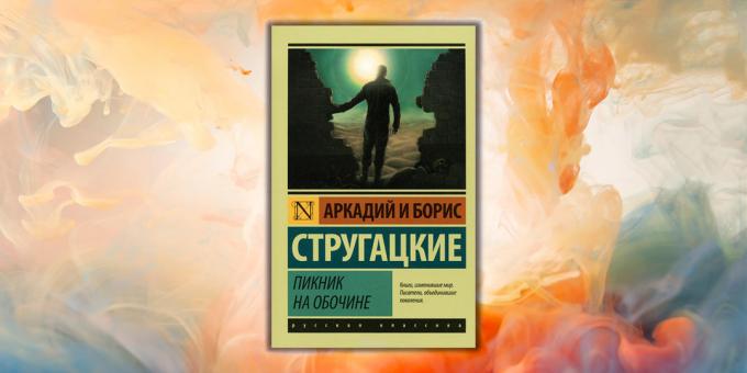 Libri per i giovani. "Roadside Picnic", Arkady e Boris Strugatsky