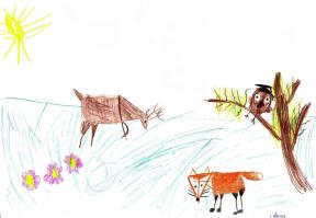 RECENSIONE: "Gli animali: disegnare passo dopo passo", Ed Amberley