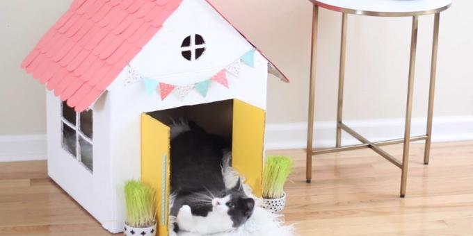 Come fare una casa a un piano per un gatto con le proprie mani: appendere bandiere e le maniglie delle porte