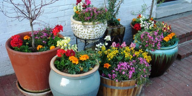 Come rendere letti di vasi di fiori
