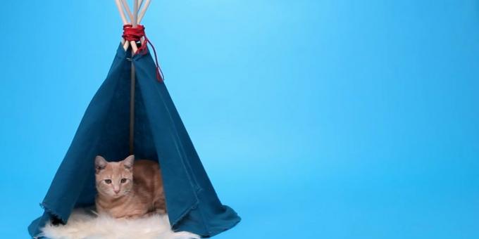 Come fare una casa-tenda per un gatto delle rotaie e il tessuto con le mani