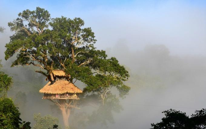 Riserva Bokeo Natura, Laos