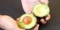 11 vita utile l'hacking con avocado