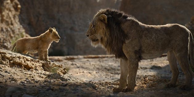 "Il Re Leone": Simba e Scar