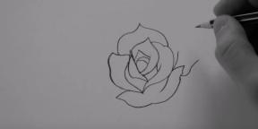 Come disegnare una rosa di 20 modi diversi