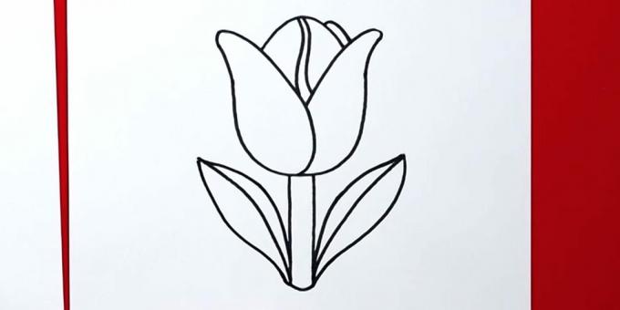 Disegna il tulipano