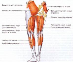 Equilibrio Fisica nello yoga. Parte 2: The Power