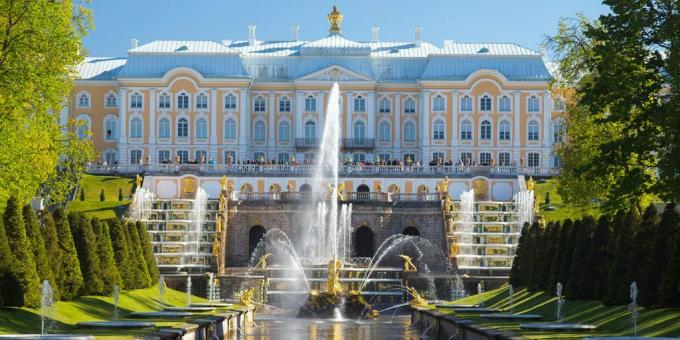 Vacanze in Russia nel 2020: regione di Leningrado