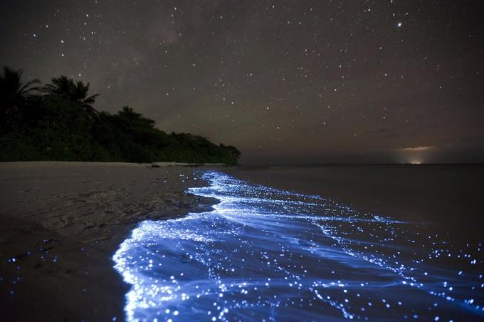 Bioluminescent Beach - Vaadhoo, Maldive migliori spiagge