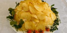 7 insalate interessanti con i chip
