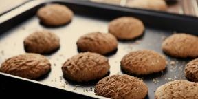 6 migliori ricette di biscotti di farina d'avena