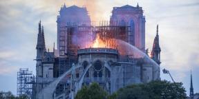 Gioco Assassins Creed Unità contribuirà a ristabilire la Notre-Dame de Paris