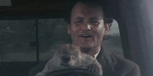 Rivedere il "Groundhog Day" Dove altro si può vedere la marmotta al volante?