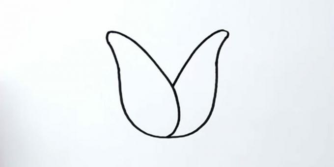Come disegnare un tulipano: disegna il petalo giusto