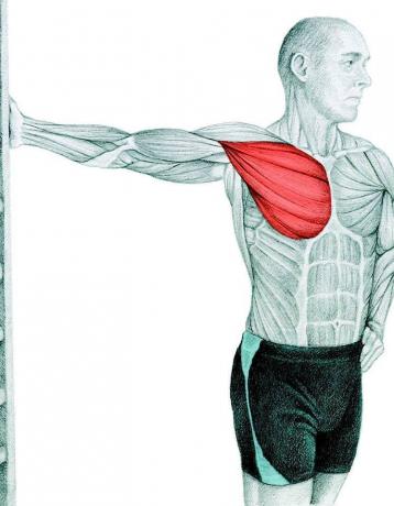 Anatomia di stretching: allungamento dei muscoli del torace nel muro