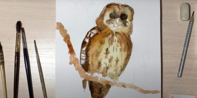 Come disegnare un gufo: dipingi su un ramo e rendi l'uccello più luminoso