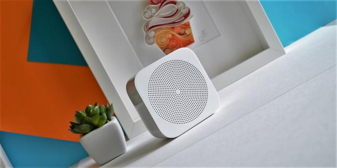 Xiaomi WiFi Radio online: aspetto