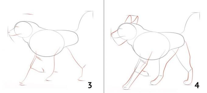 Come disegnare un cane
