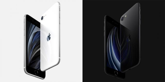 Apple ha introdotto un iPhone SE economico con Touch ID