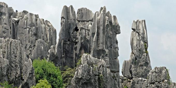 territorio asiatico attira turisti consapevolmente: Shilin Stone Forest, Cina