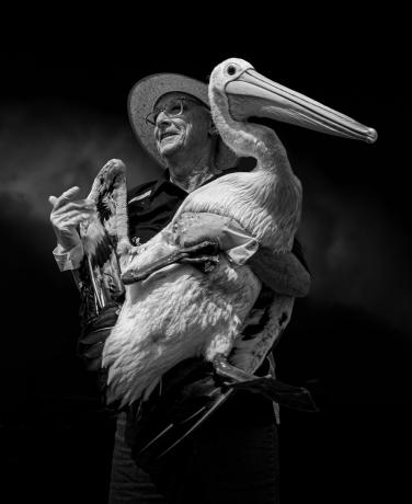 Pelican Owner di Tony Lowe