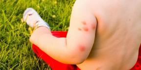 Cosa fare se si è allergici alle punture di zanzare e moscerini