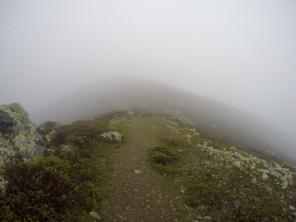 Trail San Francisco: ho incontrato un paio di centinaia di metri sopra l'Oceano Pacifico