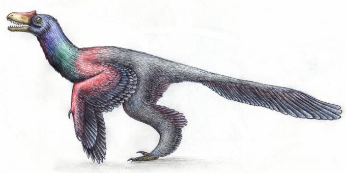 Antichi miti: i dinosauri sembravano rettili