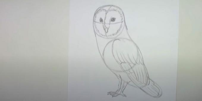 Come disegnare un gufo: disegna una seconda zampa e delinea un'ala