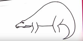 30 modi per disegnare diversi dinosauri