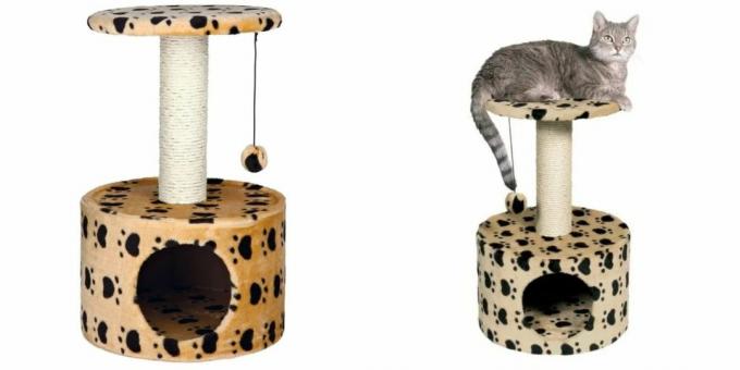 Casette per gatti: con un giocattolo e un tiragraffi