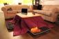 Scalda in giapponese con una tavola calda kotatsu