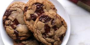 15 ricette per biscotti al cioccolato, si consiglia di provare con certezza