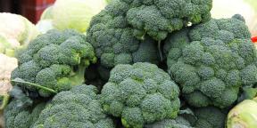 Come e quanto a cucinare i broccoli